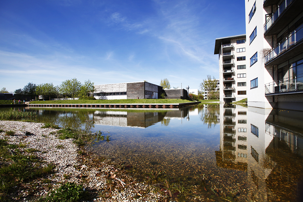 arkitektur fotografi den gamle dr by